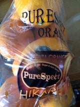 ヒラタ 高糖度オレンジピュアスペクト 6個