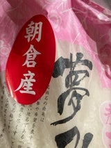 さかぐち 福岡県産夢つくし 5kg