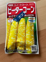 サカタのタネ スイートコーンピーターコーン