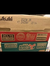 アサヒ ドデカミンミニ 缶 250ml×30