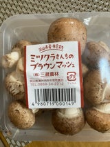 三蔵 ブラウンマッシュルーム 100g