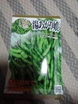 宇都宮 湯あがり娘 種