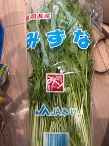 JA福岡　水菜の商品写真