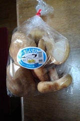 JAたじま 生しいたけ