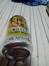 キリン 本搾り 冬柑 期間限定 缶 350ml