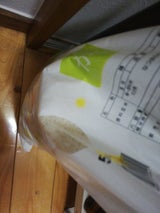 大分県米穀卸 新米 大分産なつほのか 5kg