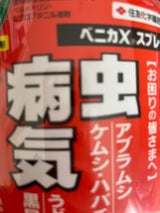 住化 ベニカXスプレー 1000ml