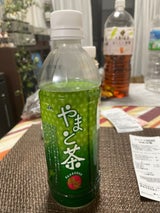 大和 奈良やまと茶 ペット 500ml