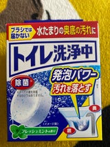 ブルーレット トイレ洗浄中 フレッシュミント 3錠