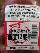キョーエイ 小キズりんご有袋ふじ 1P