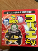 NID コバエとり 1P