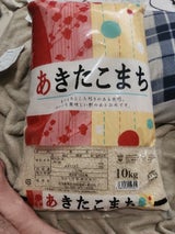 カカシ 国内産あきたこまち 10kg