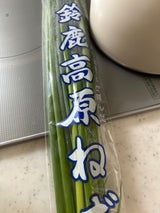 全農三重 水耕ネギ 100g