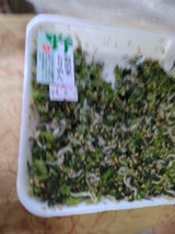 天水 野沢菜ちりめん 1P