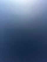 丸タ 台湾バナナ #398