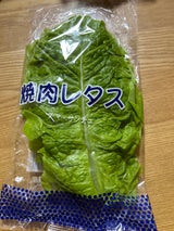 FFJ 焼肉レタス チマサンチュ 10枚