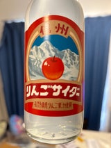 友桝飲料 信州りんごサイダー 245ml