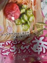 サンサス 梅ぶっかけうどん2食スープ付 370g