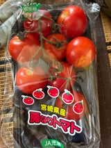 JA宮崎 ミディトマト 300g