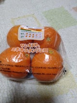 サンキスト ミネオラオレンジ パック