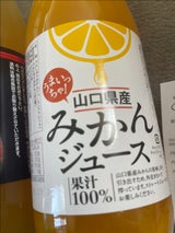 日本果実 山口産みかんジュースストレート 1L