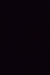 秦食品 焼鳥のたれ 1210g