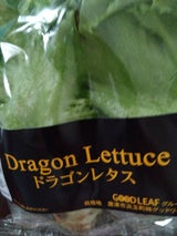 グッドリーフ ドラゴンレタス