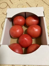 カルゲン会 トマト