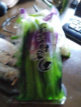 高社 野沢菜漬 200g