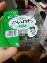 カイワレダイコン