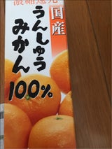 全農 国産うんしゅうみかん100%
