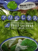 桃太郎 フリルアイス