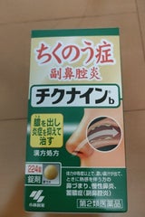 チクナインb 224錠
