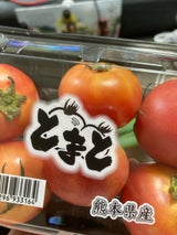 SEISHIN とまと 1P