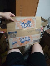 ファンタ オレンジ 24P