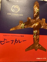 ANA FINDELISH ビーフカレー 180g