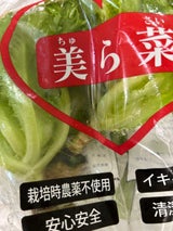 神谷産業 フリル S 40g