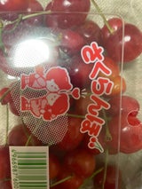 光洋 さくらんぼ CHS-200