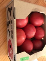 九州青果 とまと熊本産 1.2kg