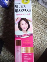 レディーストップシェードSPウィッグ栗色 100g