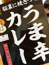 神戸はいから 淡路島産玉葱うま辛カレー 160g