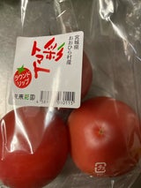 未来彩園 彩トマト 600g