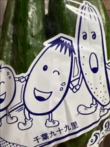 NIC JA山武郡市グリーンサーフ 1P