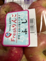 タンダイP ふじ 4P