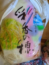 セフティ 彩香の穂 10kg