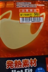 グローバルジャパン ホットフィットマスク ベージュ