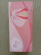 エフコム まるごといちごにチョコ P15-1