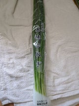 精工 薬味こねぎ