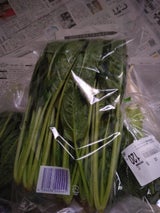 JA日向 ほうれん草 150g