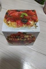 ムレスナ 花いちご 2.5gx11